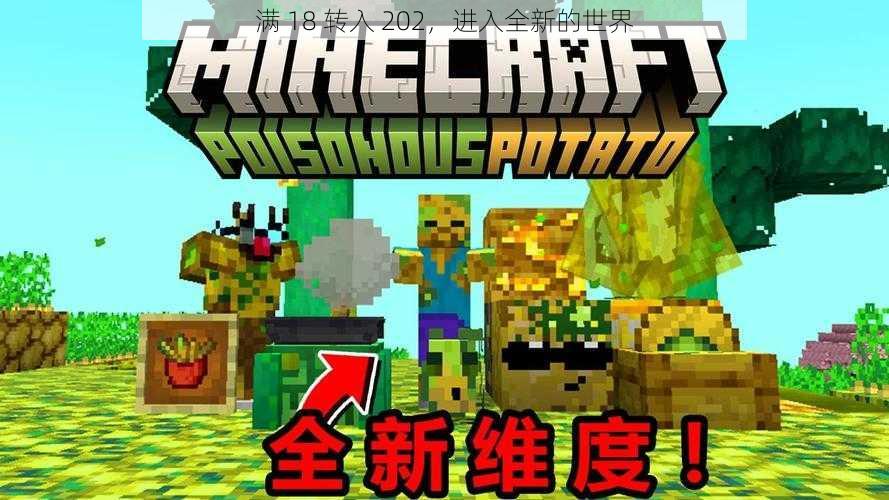 满 18 转入 202,进入全新的世界