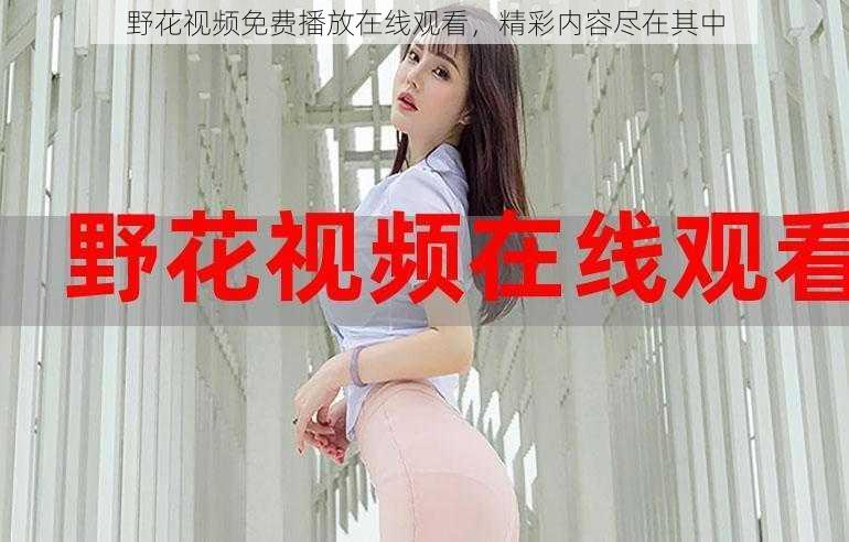 野花视频免费播放在线观看,精彩内容尽在其中