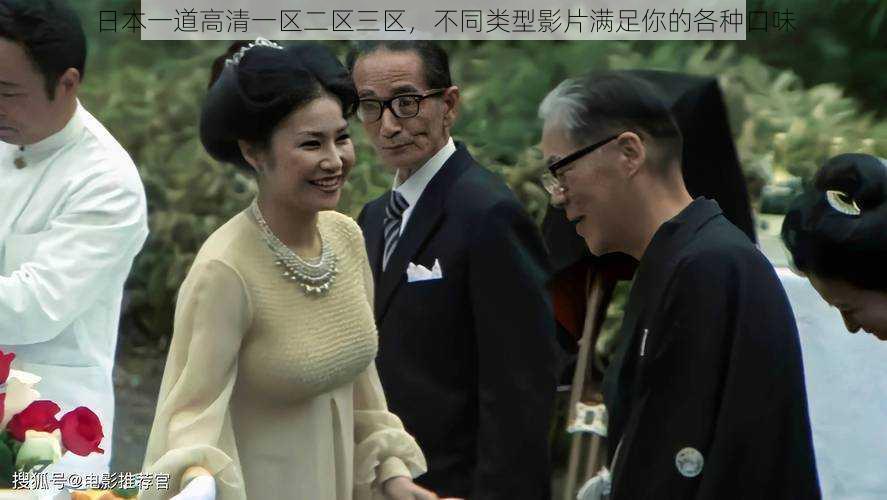 日本一道高清一区二区三区,不同类型影片满足你的各种口味