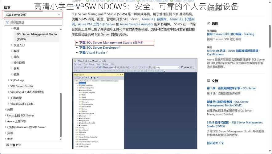 高清小学生 VPSWINDOWS:安全、可靠的个人云存储设备