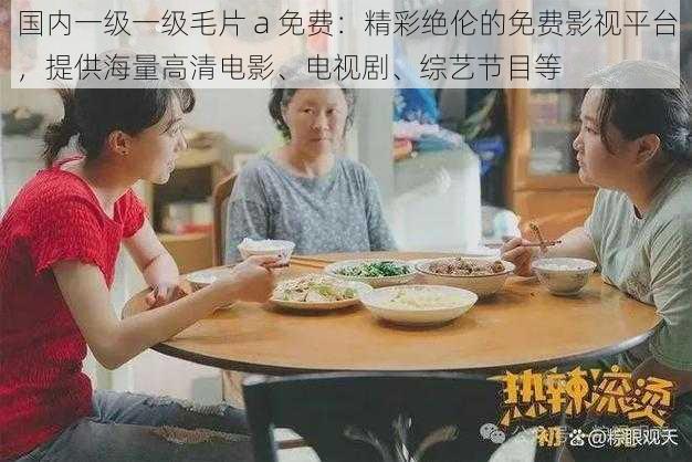 国内一级一级毛片 a 免费:精彩绝伦的免费影视平台,提供海量高清电影、电视剧、综艺节目等