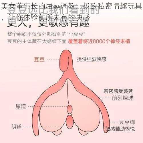 美女董事长的屈辱调教:极致私密情趣玩具,让你体验前所未有的快感