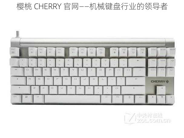 樱桃 CHERRY 官网——机械键盘行业的领导者
