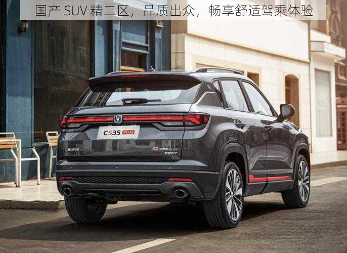 国产 SUV 精二区,品质出众,畅享舒适驾乘体验