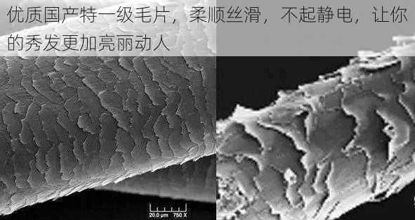 优质国产特一级毛片,柔顺丝滑,不起静电,让你的秀发更加亮丽动人