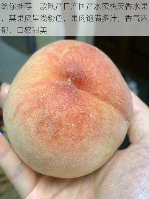 给你推荐一款欧产日产国产水蜜桃天香水果,其果皮呈浅粉色,果肉饱满多汁,香气浓郁,口感甜美