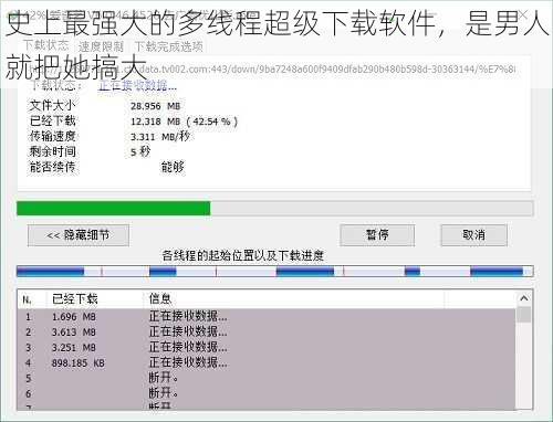 史上最强大的多线程超级下载软件,是男人就把她搞大