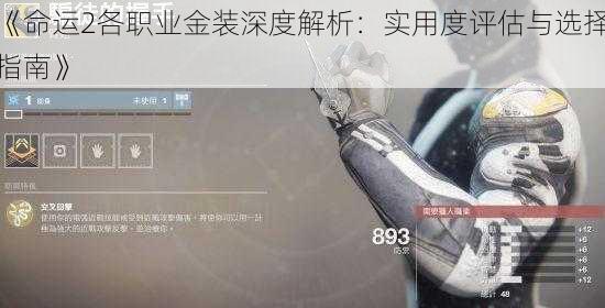 《命运2各职业金装深度解析:实用度评估与选择指南》