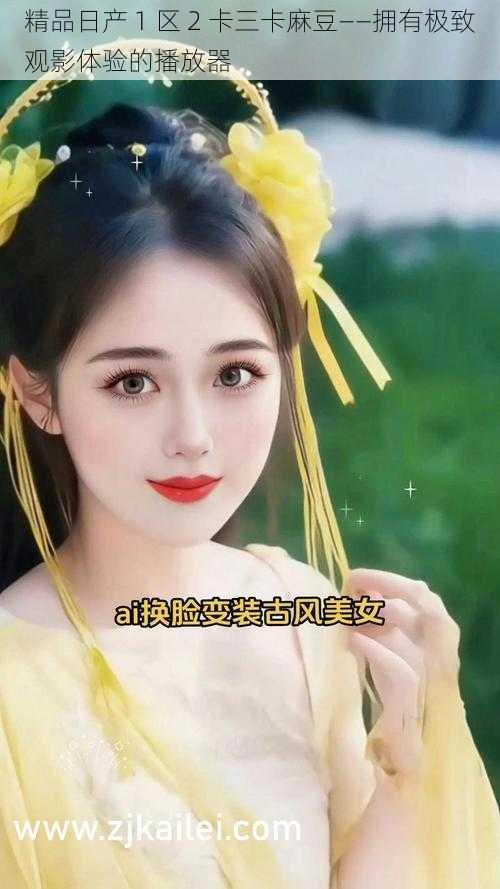 精品日产 1 区 2 卡三卡麻豆——拥有极致观影体验的播放器