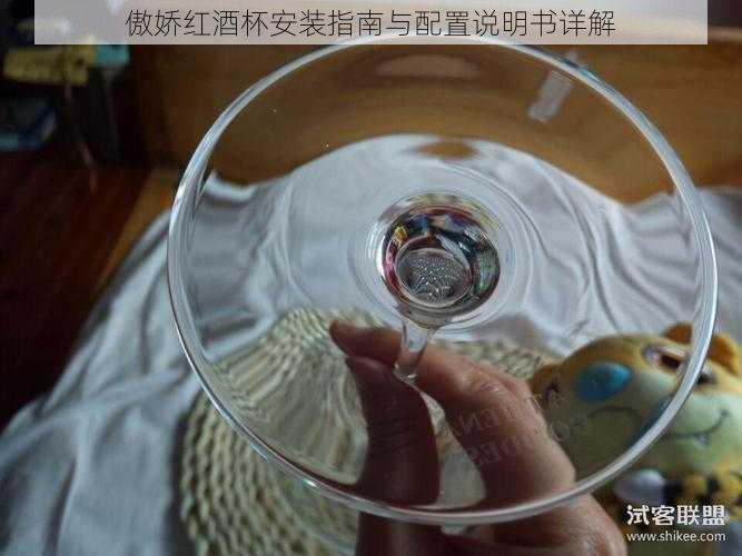 傲娇红酒杯安装指南与配置说明书详解