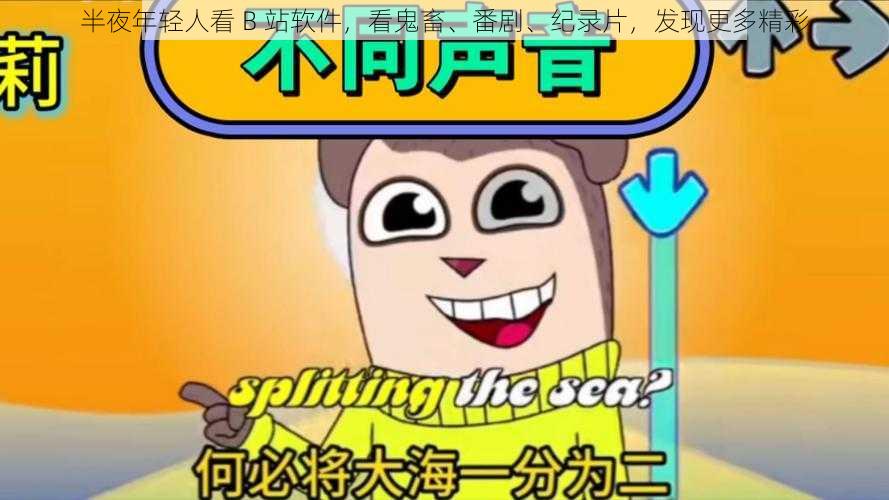 半夜年轻人看 B 站软件,看鬼畜、番剧、纪录片,发现更多精彩