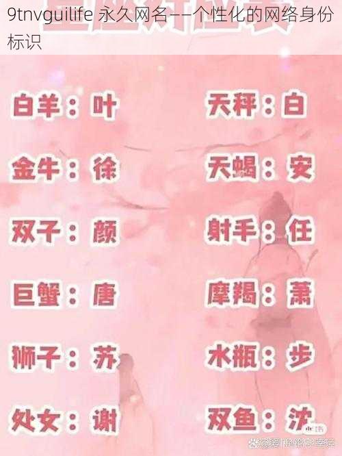 9tnvguilife 永久网名——个性化的网络身份标识