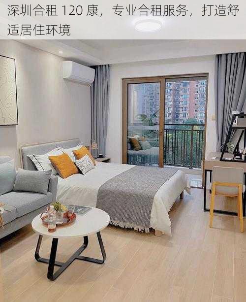 深圳合租 120 康,专业合租服务,打造舒适居住环境