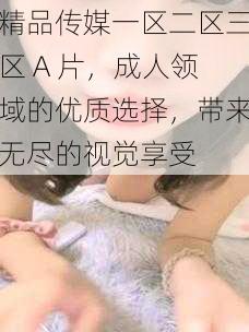 精品传媒一区二区三区 A 片,成人领域的优质选择,带来无尽的视觉享受