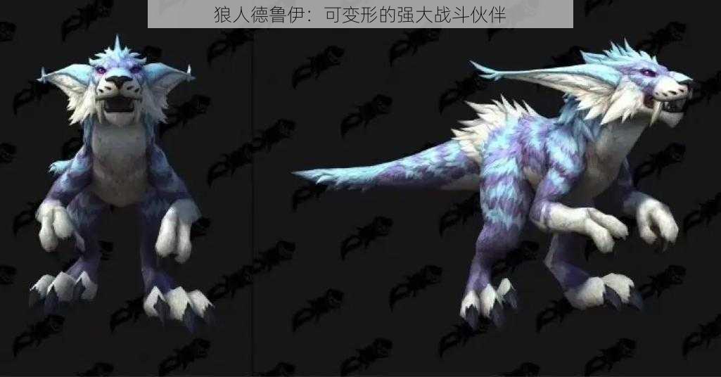 狼人德鲁伊:可变形的强大战斗伙伴