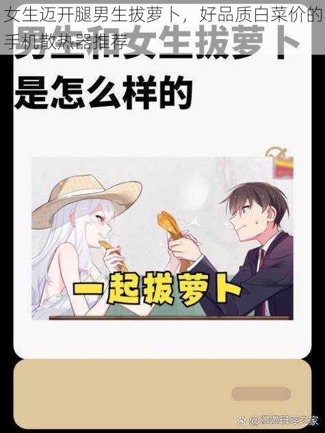 女生迈开腿男生拔萝卜,好品质白菜价的手机散热器推荐