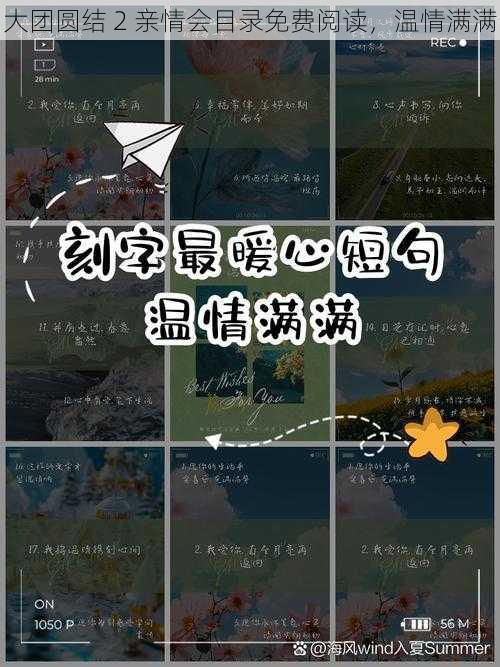 大团圆结 2 亲情会目录免费阅读,温情满满