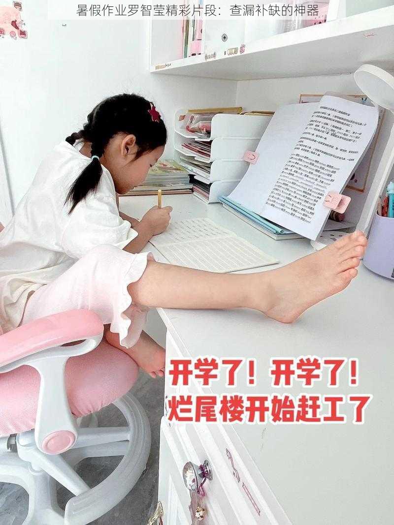 暑假作业罗智莹精彩片段:查漏补缺的神器