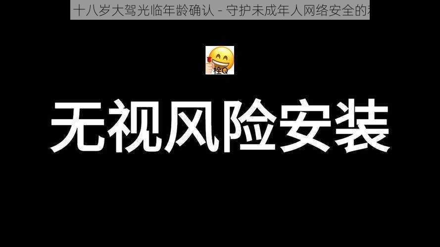 adc 十八岁大驾光临年龄确认 - 守护未成年人网络安全的利器