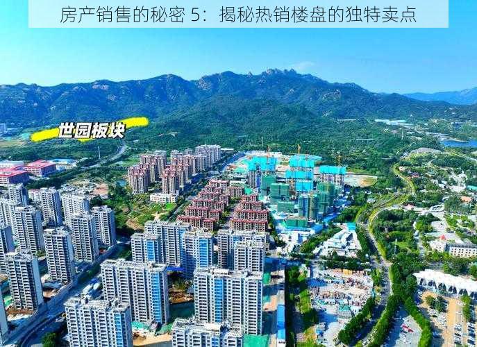 房产销售的秘密 5:揭秘热销楼盘的独特卖点