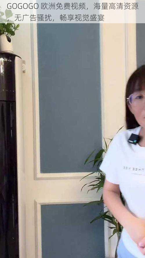 GOGOGO 欧洲免费视频,海量高清资源,无广告骚扰,畅享视觉盛宴
