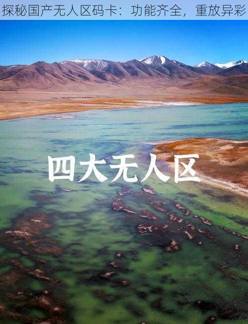 探秘国产无人区码卡:功能齐全,重放异彩