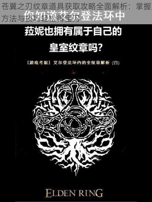 苍翼之刃纹章道具获取攻略全面解析:掌握方法与技巧轻松得宝刀