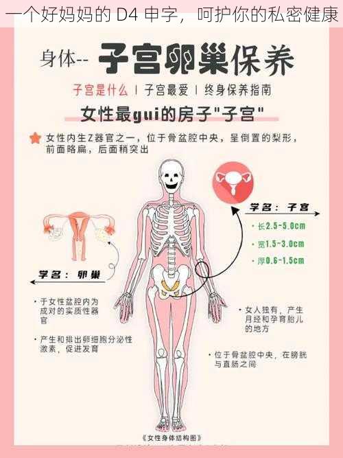 一个好妈妈的 D4 申字,呵护你的私密健康