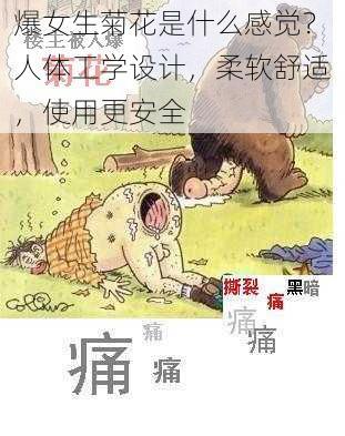 爆女生菊花是什么感觉?人体工学设计,柔软舒适,使用更安全