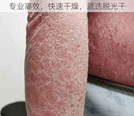 专业高效,快速干燥,就选脱光干