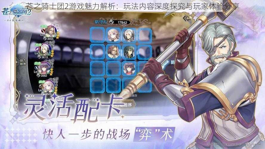 苍之骑士团2游戏魅力解析:玩法内容深度探究与玩家体验分享