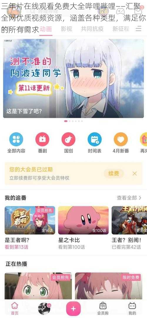 三年片在线观看免费大全哔哩哔哩——汇聚全网优质视频资源,涵盖各种类型,满足你的所有需求