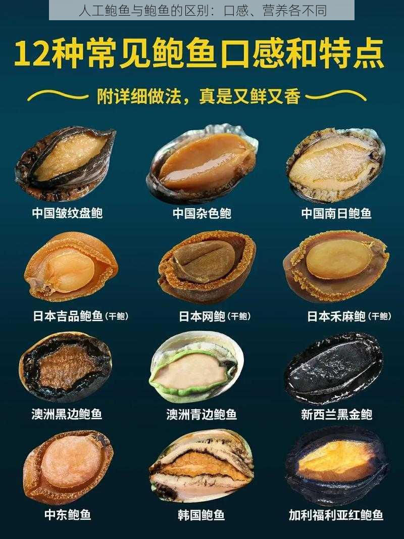 人工鲍鱼与鲍鱼的区别:口感、营养各不同