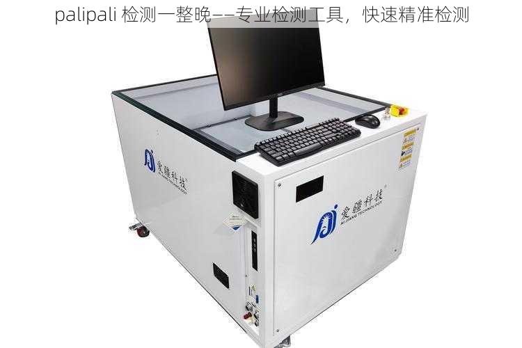 palipali 检测一整晚——专业检测工具,快速精准检测