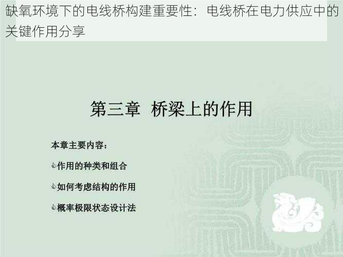 缺氧环境下的电线桥构建重要性:电线桥在电力供应中的关键作用分享