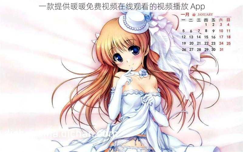 一款提供暖暖免费视频在线观看的视频播放 App