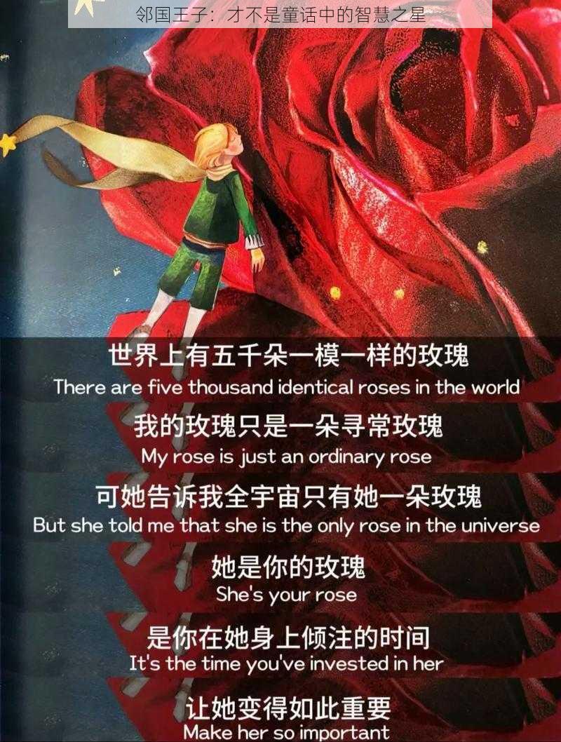 邻国王子:才不是童话中的智慧之星