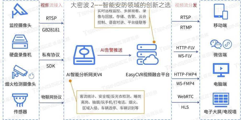 大密波 2——智能安防领域的创新之选