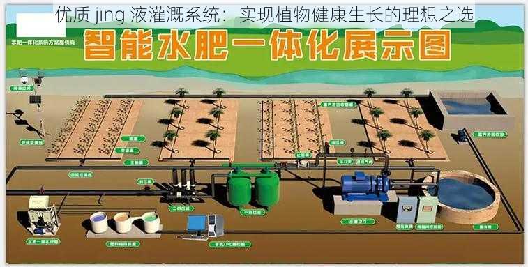 优质 jīng 液灌溉系统:实现植物健康生长的理想之选