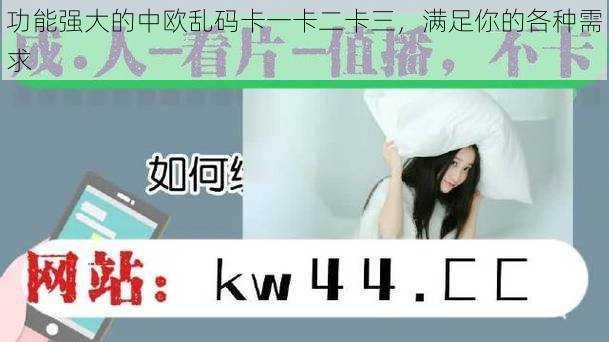 功能强大的中欧乱码卡一卡二卡三,满足你的各种需求