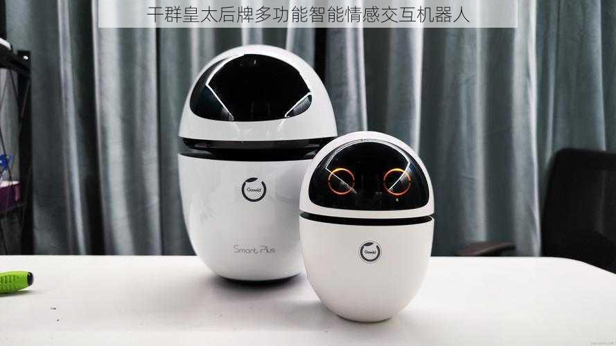 干群皇太后牌多功能智能情感交互机器人