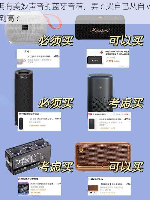 拥有美妙声音的蓝牙音箱,弄 c 哭自己从自 w 到高 c