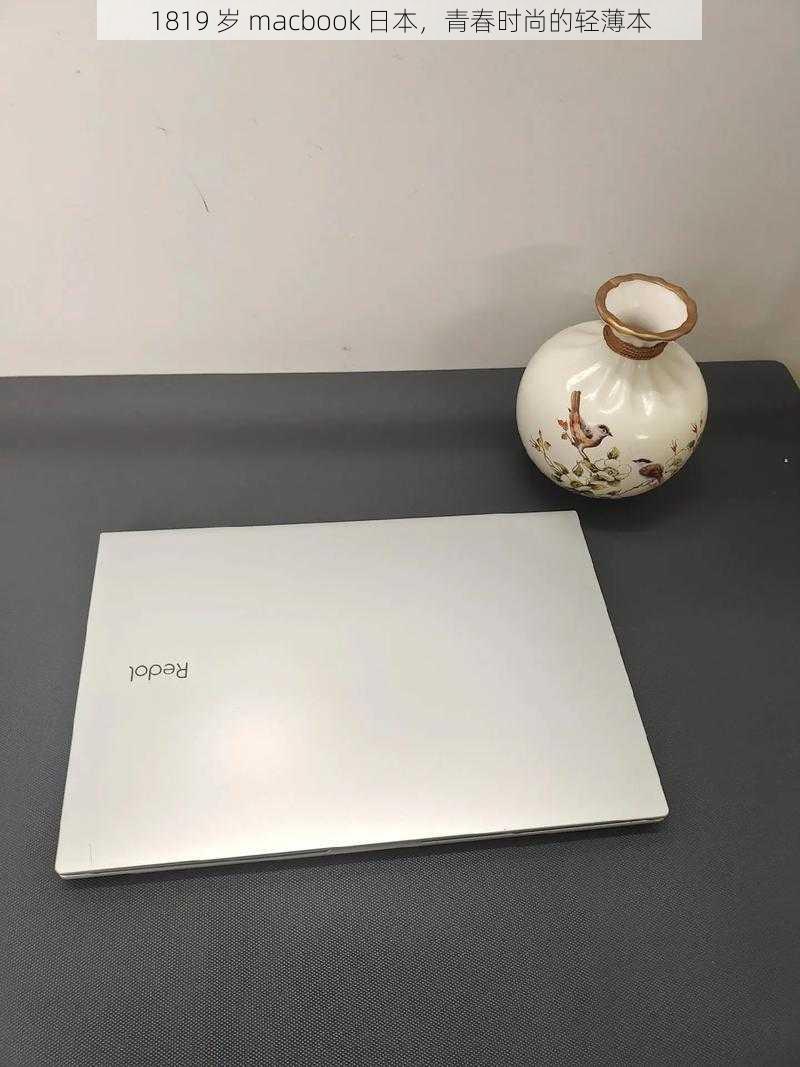 1819 岁 macbook 日本,青春时尚的轻薄本