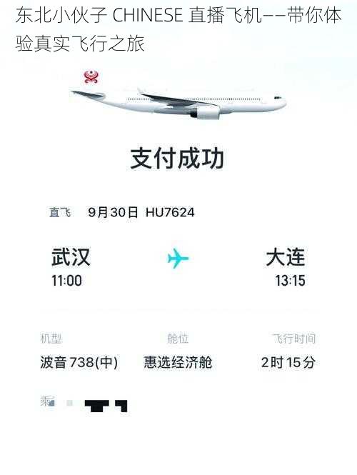 东北小伙子 CHINESE 直播飞机——带你体验真实飞行之旅