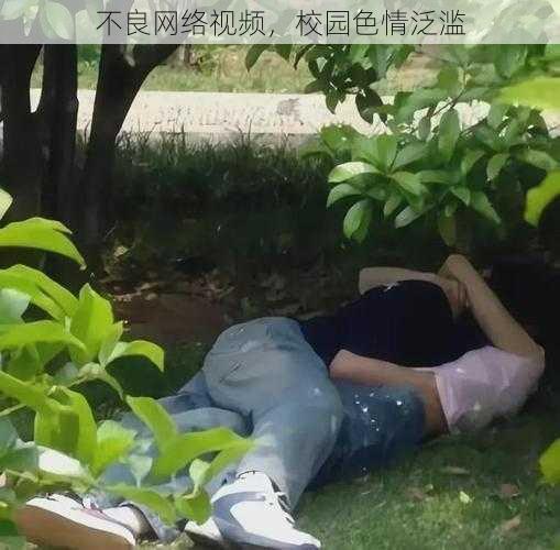 不良网络视频,校园色情泛滥