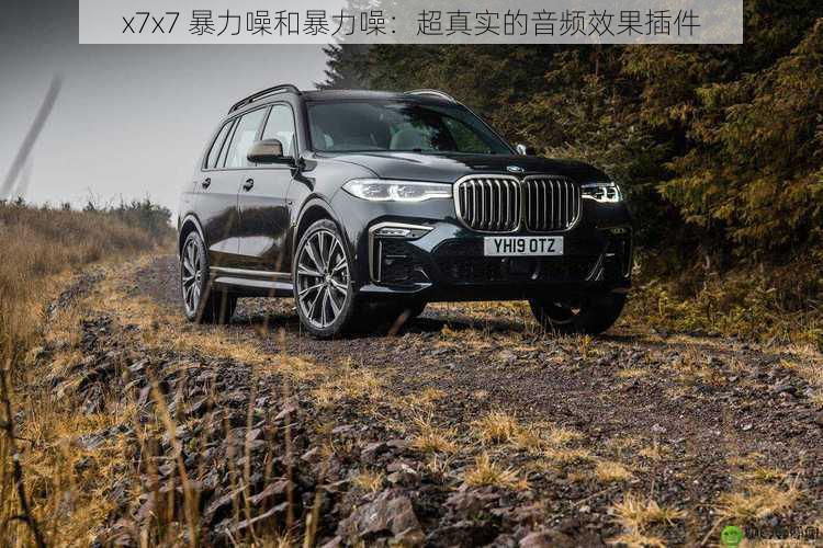 x7x7 暴力噪和暴力噪:超真实的音频效果插件