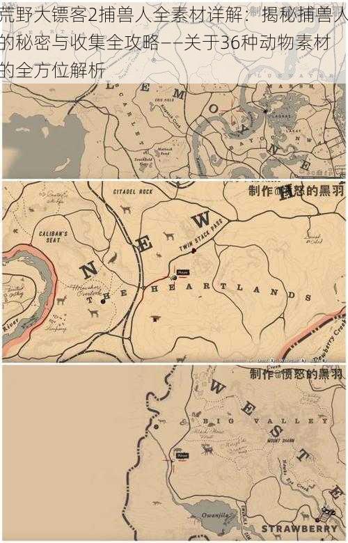 荒野大镖客2捕兽人全素材详解:揭秘捕兽人的秘密与收集全攻略——关于36种动物素材的全方位解析