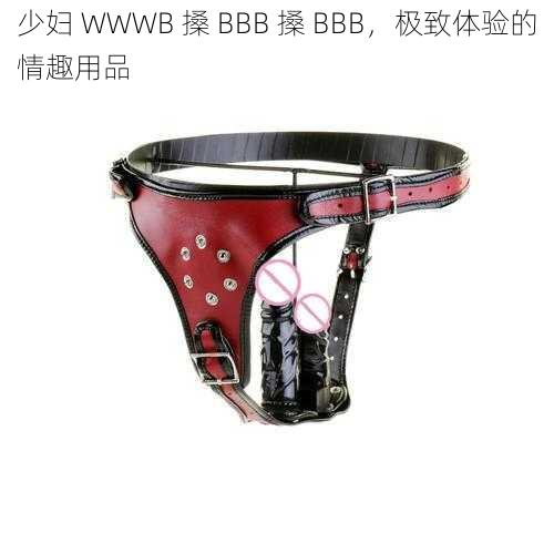 少妇 WWWB 搡 BBB 搡 BBB,极致体验的情趣用品