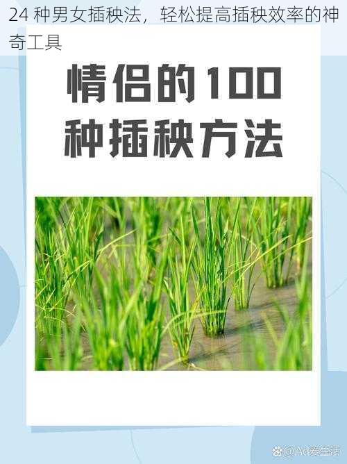 24 种男女插秧法,轻松提高插秧效率的神奇工具