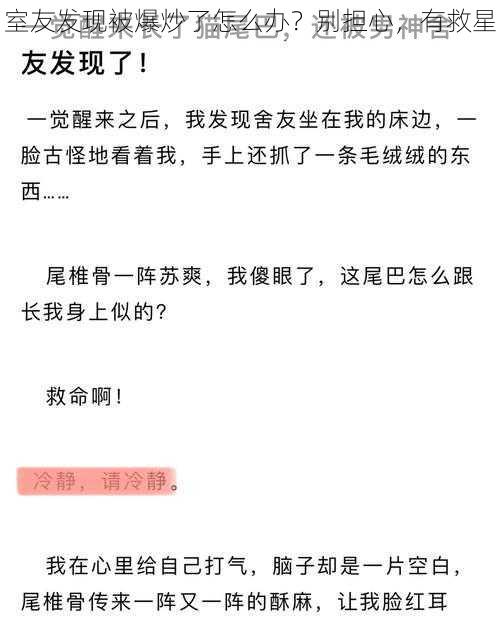 室友发现被爆炒了怎么办?别担心,有救星